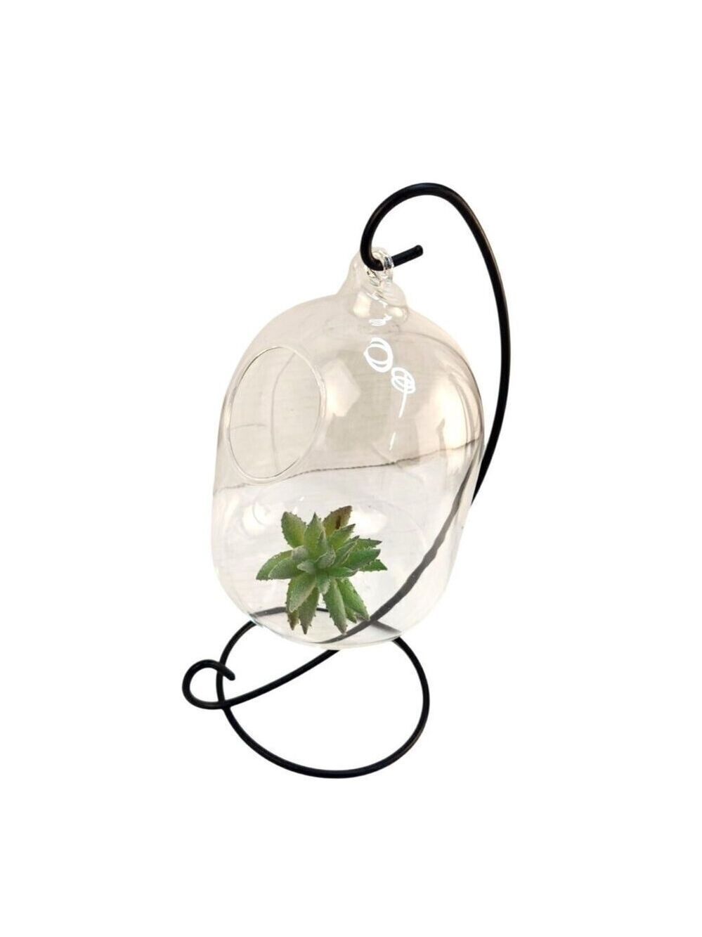 Glass Terrarium Metal Stand Air Plants Succulents 9x4